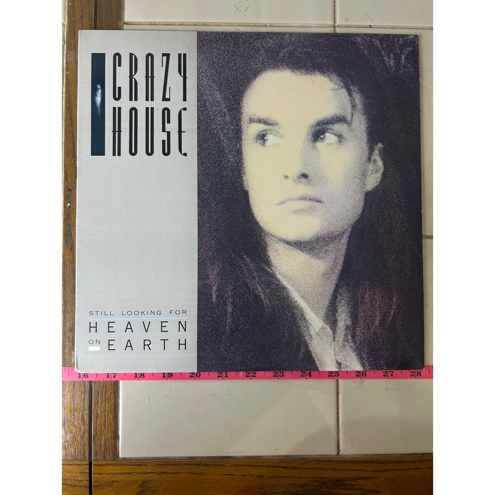 Crazy House Still Looking For Heaven On Earth Vinyl LP 1988 Chrysalis BFV 41576
